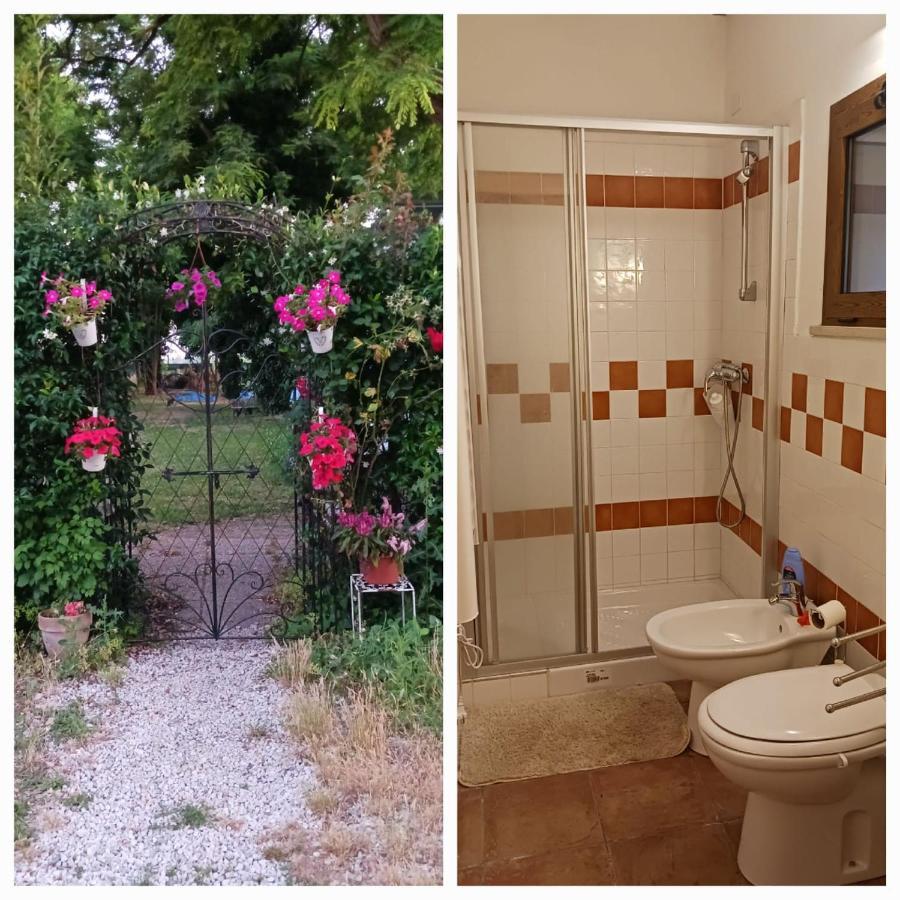 Casetta Di Laura Pisa Dış mekan fotoğraf
